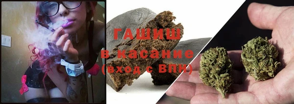 спиды Новодвинск