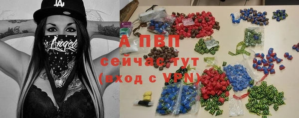 спиды Новодвинск