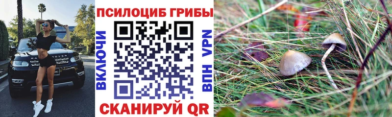 Галлюциногенные грибы Magic Shrooms  blacksprut как войти  Новая Усмань 